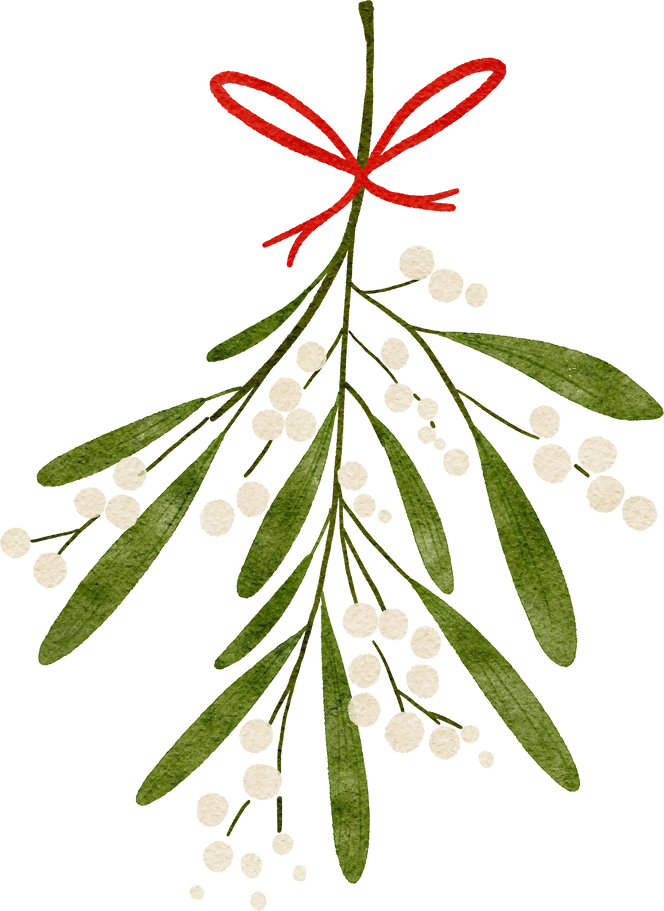christmas mistletoe